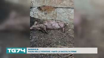 MODICA - PAURA NELLE PERIFERIE. PARTE LA RACCOLTA FIRME