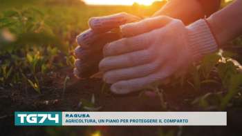 RAGUSA - AGRICOLTURA, UN PIANO PER PROTEGGERE IL COMPARTO