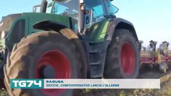 RAGUSA - SICCITA', CONFCOOPERATIVE LANCIA L'ALLARME